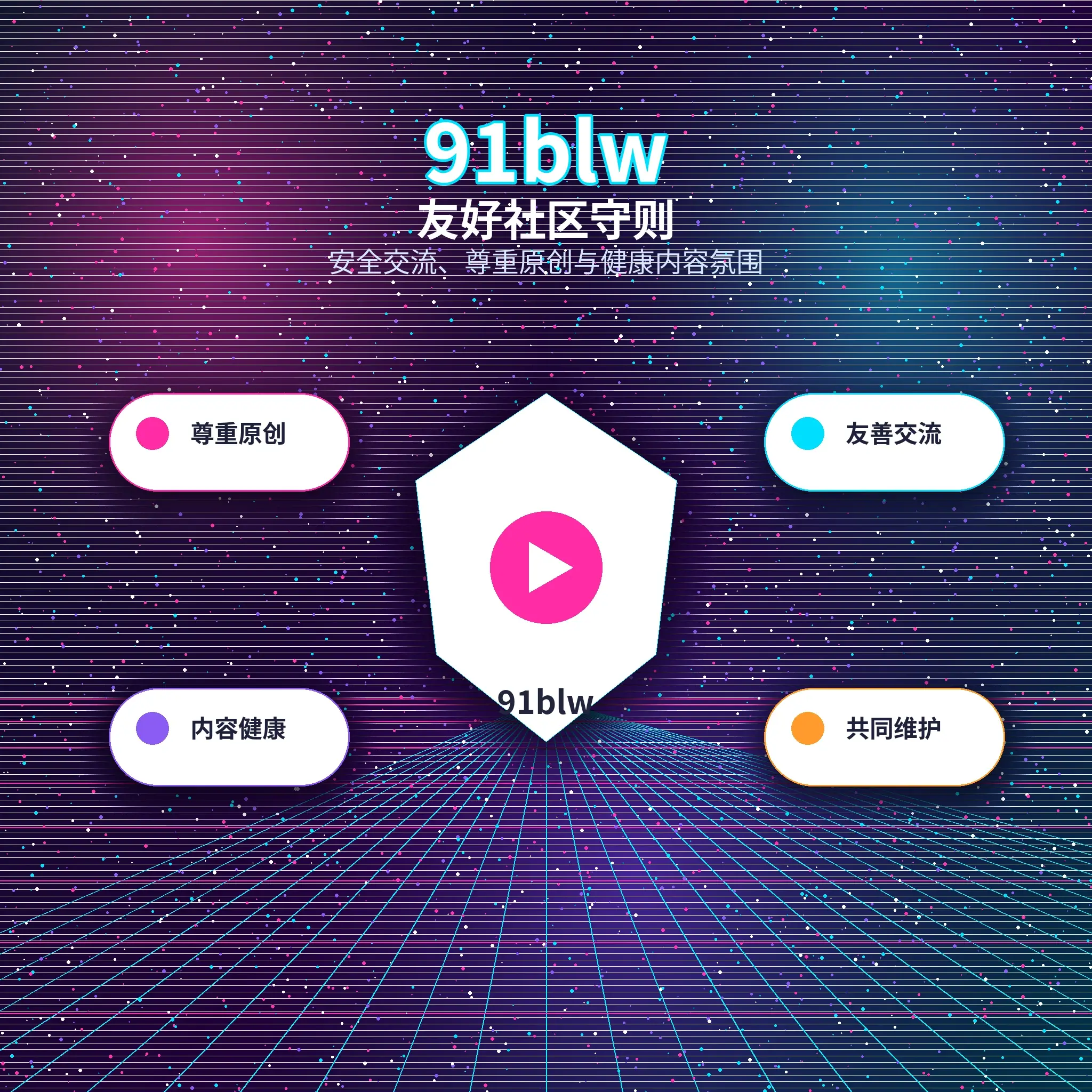91网理性社交服务内容